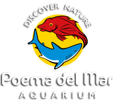 Poema del Mar
