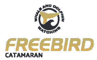 Freebird Catamaran